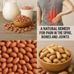 The Healing Power of Trees: How Barefoot Grounding Restores Mind and Body