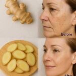 Benefits and Uses of Chayote Juice: A Refreshing Boost for Your Health