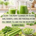 The Ancient Secret in Your Spice Rack: 18 Proven Ways Clove Tea Transforms Your Health, Metabolism, and Longevity