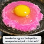 Yellow Drips on Walls After a Tenant Moves Out: What Could It Be and How to Fix It