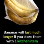 Lady Pours Concrete Mix Into Cardboard Mold — This Backyard Feature Looks So Expensive