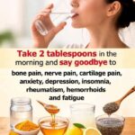 Just Saw This Terrifying Creature in Your Basement? Here’s What It Really Is (And If It’s Dangerous)