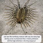 Drill Holes in a Metal Trash Can? This Simple Backyard Hack Creates a Stunning Feature