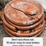 Lady Had a Bunch of Empty Old Pill Bottles – Instead of Tossing Them Out, She Came Up with These Brilliant Ideas