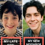 How to Prune Basil for Big, Bushy Basil Plants (With Photos)