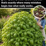 I Buried My Son 10 Years Ago — Then the Boy Next Door