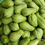 They Used This Every Day, But Can You Even Tell What It Is?