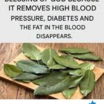 Got Peonies? 10 Urgent April Tasks That Guarantee Your Biggest Flowers Ever