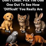 Only People with “PhD Intelligence” Can Solve This Brain Teaser