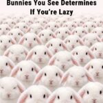 Only People With High IQ Will Get 100% in This General Knowledge Test!