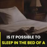 Pick a Chair and Discover Who Will Always Sit by Your Side