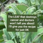 Lady stuffs a plastic bag with fiberfill and dangles crystal beads. This front door hack is blowing up right now