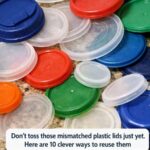 When You Eat Celery Every Day for a Week, Your Body Might Get These 14 Health Benefits