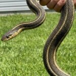 The Ultimate Cozy Potato Bake