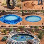 Train your plant into unique shapes