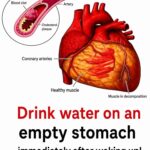 Always Place Your Fence with the Front Facing Your Neighbor! Here’s Why