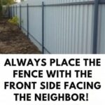 What To Do If Bitten By An Assassin Bug