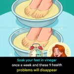 The Hidden Power of Dandelions