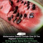 Garlic, Honey, and Apple Cider Vinegar: Benefits, Recipe