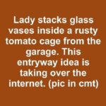 Goodbye Bedbugs at Home: The Infallible Remedy for Keeping Them Away