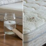 Canning Chicken Noodle Soup