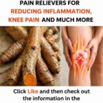 11 Foods You Should Never Put in a Slow Cooker – Avoid These Common Mistakes!