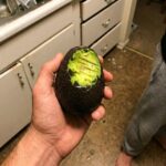 Most of you have never eaten raw chocolate