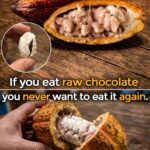 One of the world’s most eaten crops