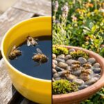 Most of you have never eaten raw chocolate