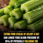 Moist Chocolate Loaf Cake