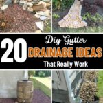 The Powerful Root: How This Ancient Golden Spice May Support Joint Comfort Naturally