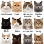 Putting Your Legs Up Against a Wall