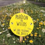 Found this glass mushroom thing in a velvet-lined box at an estate sale. It has a metal connector at the bottom. Looks like part of a machine?
