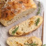 He had 72 hours to live. The hospital broke every rule and let the cat in. What happened in room 14 no one can explain.