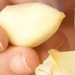 Oregano: The Small Plant with Big Health Benefits