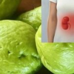 Strange Tunnels in Your Lawn After Snow? Here’s the Surprising Animal Behind It