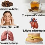 The Difference Between Large Navel Oranges and Small Navel Oranges