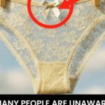 Carnivore Crepes Recipe