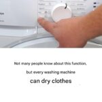 Bay Leaves for Skin: Exploring Their Potential Benefits for a More Youthful Appearance