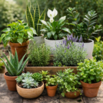 La solution naturelle pour des canalisations impeccables