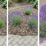 10 Weird Compost Tricks That Actually Speed Things Up (Backed by Real Results)