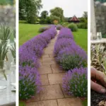 what’s The Best Donut ?