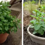 How to Clean Stains from Your Mattress: A Simple and Effective Guide