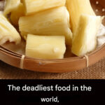 Sourdough Sandwich Bread