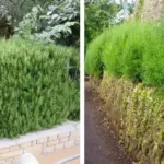 Lady stuffs a plastic bag with fiberfill and dangles crystal beads. This front door hack is blowing up right now