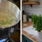 Why Kindness Is Often Misunderstood