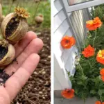 When to See a Doctor for Sleep Problems