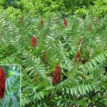 Pick The Longest Matchstick: Your Answer Reveals What Kind Of Woman You Are