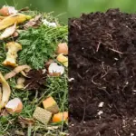 Bought a weird ceramic jar at a spring estate sale. It has a lid with a finger sized hole in the center and hand painted flowers. No smells, completely empty inside. Anyone know what this thing is?
