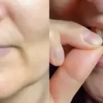 We went hiking with friends. Suddenly, we discovered this on a tree. We looked at it from different angles, but we still couldn’t figure out what it is. Does anyone know what it is?